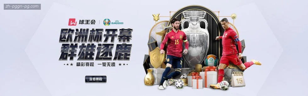 PG模拟器 banner